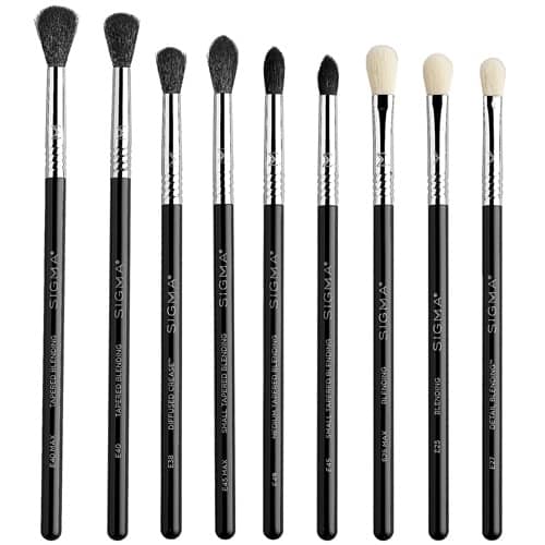 Sigma Deluxe Blending Brush Set