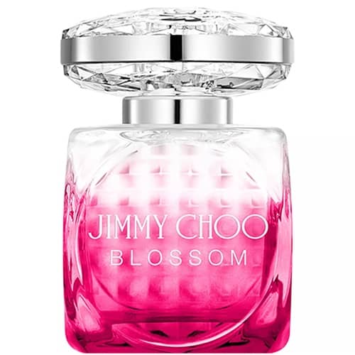 Macy's Select Beauty