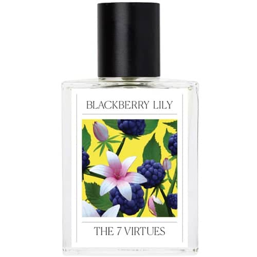 The 7 Virtues Summer